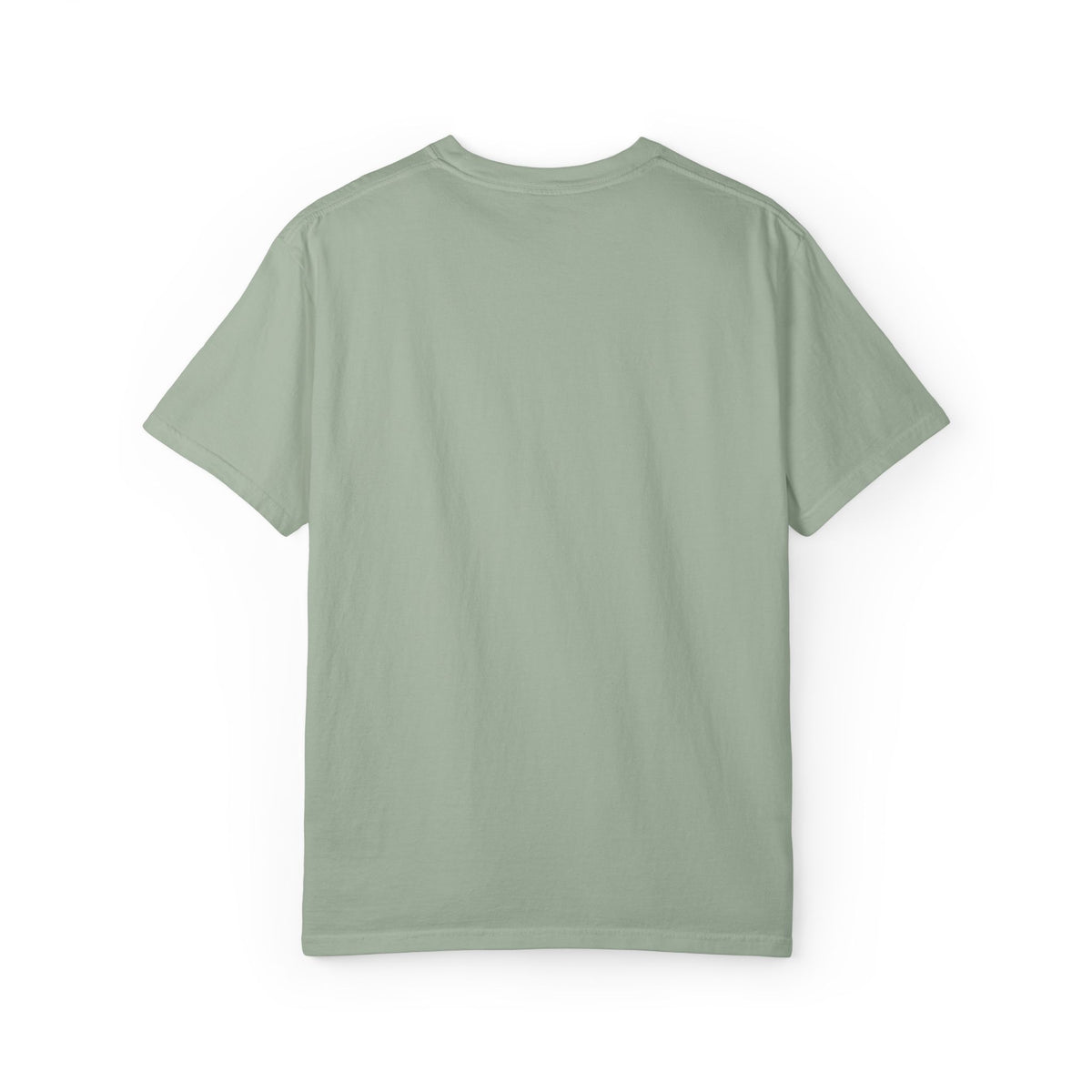 Bay Black Cloud garment-dyed T-shirt, back view