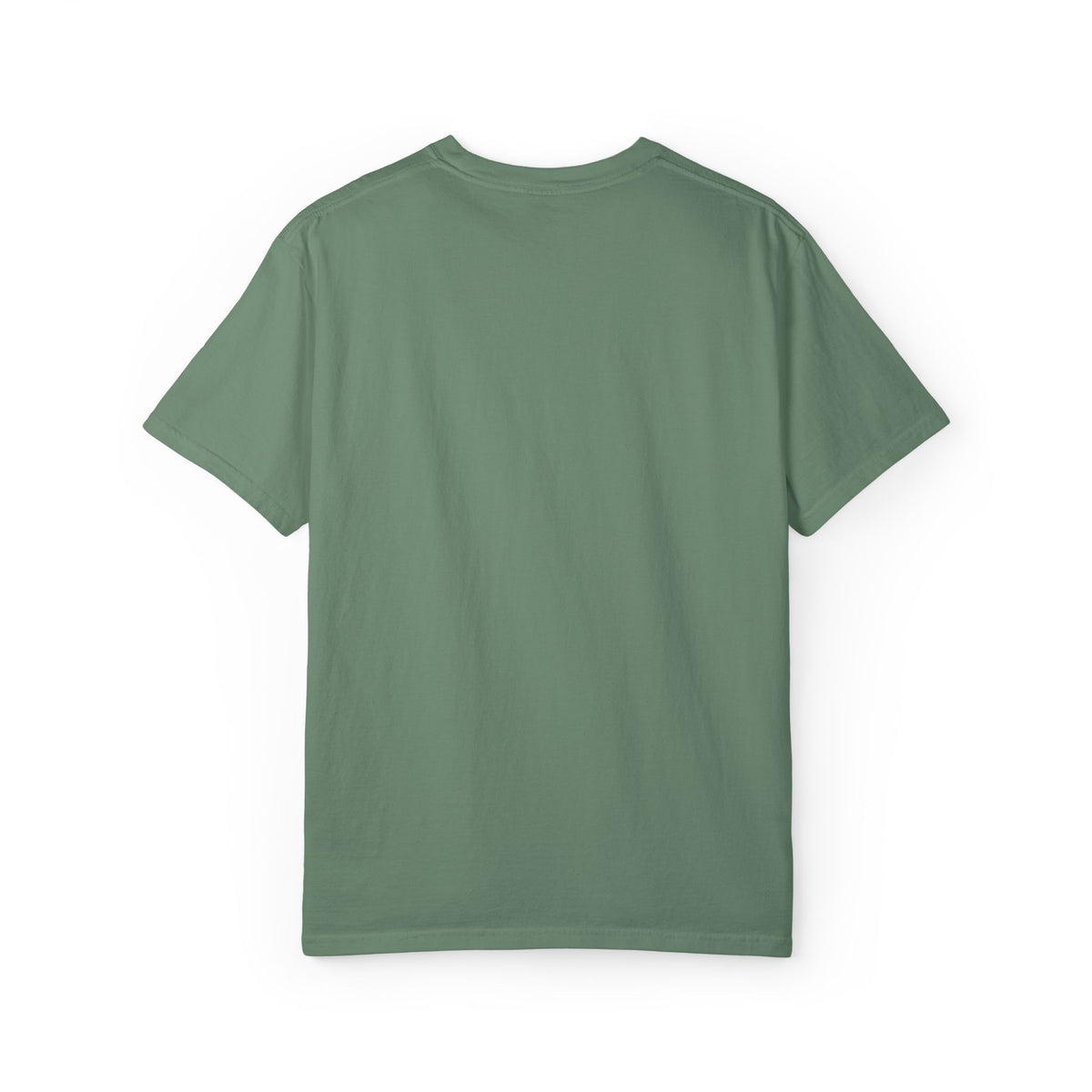 Light Green Black Cloud garment-dyed T-shirt, back view