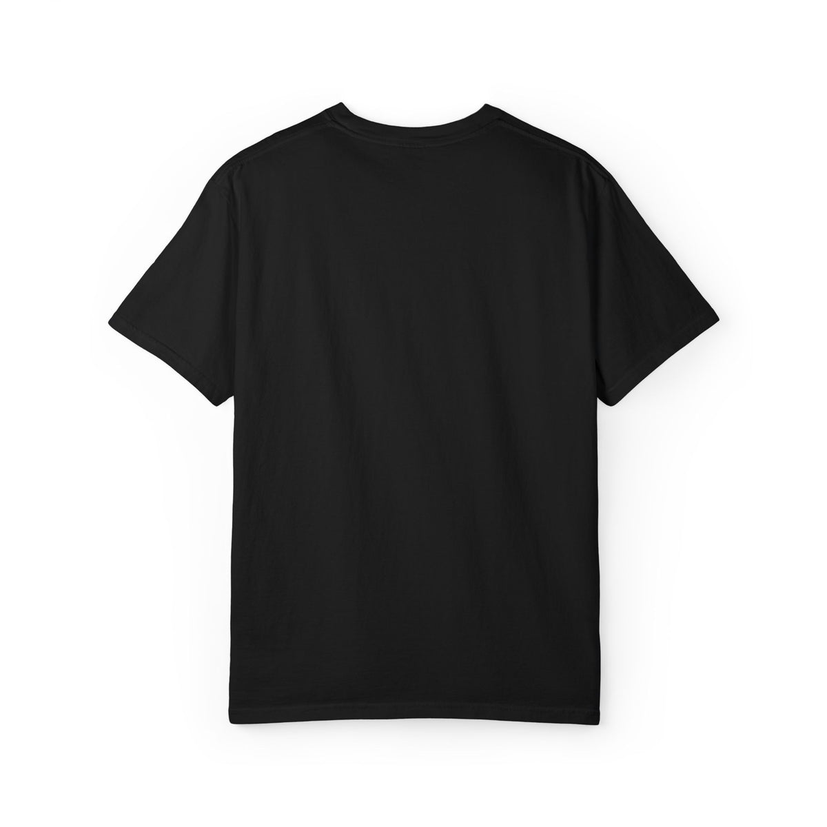 Black Black Cloud garment-dyed T-shirt, back view