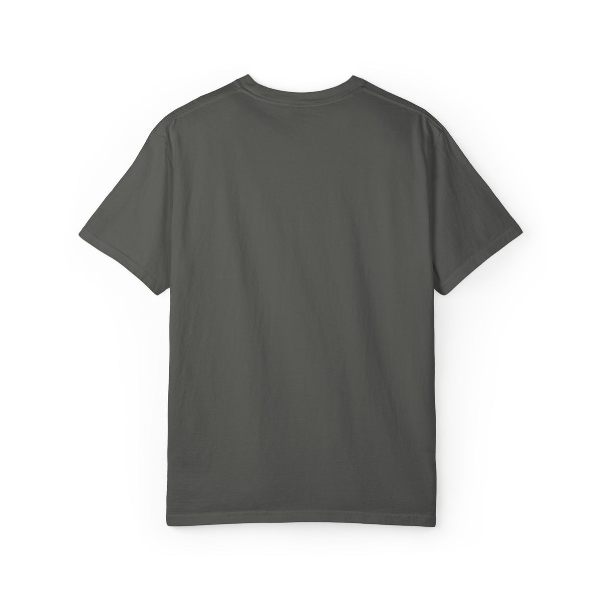 Pepper Black Cloud garment-dyed T-shirt, back view