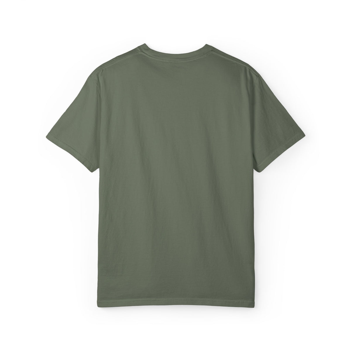 Moss Black Cloud garment-dyed T-shirt, back view