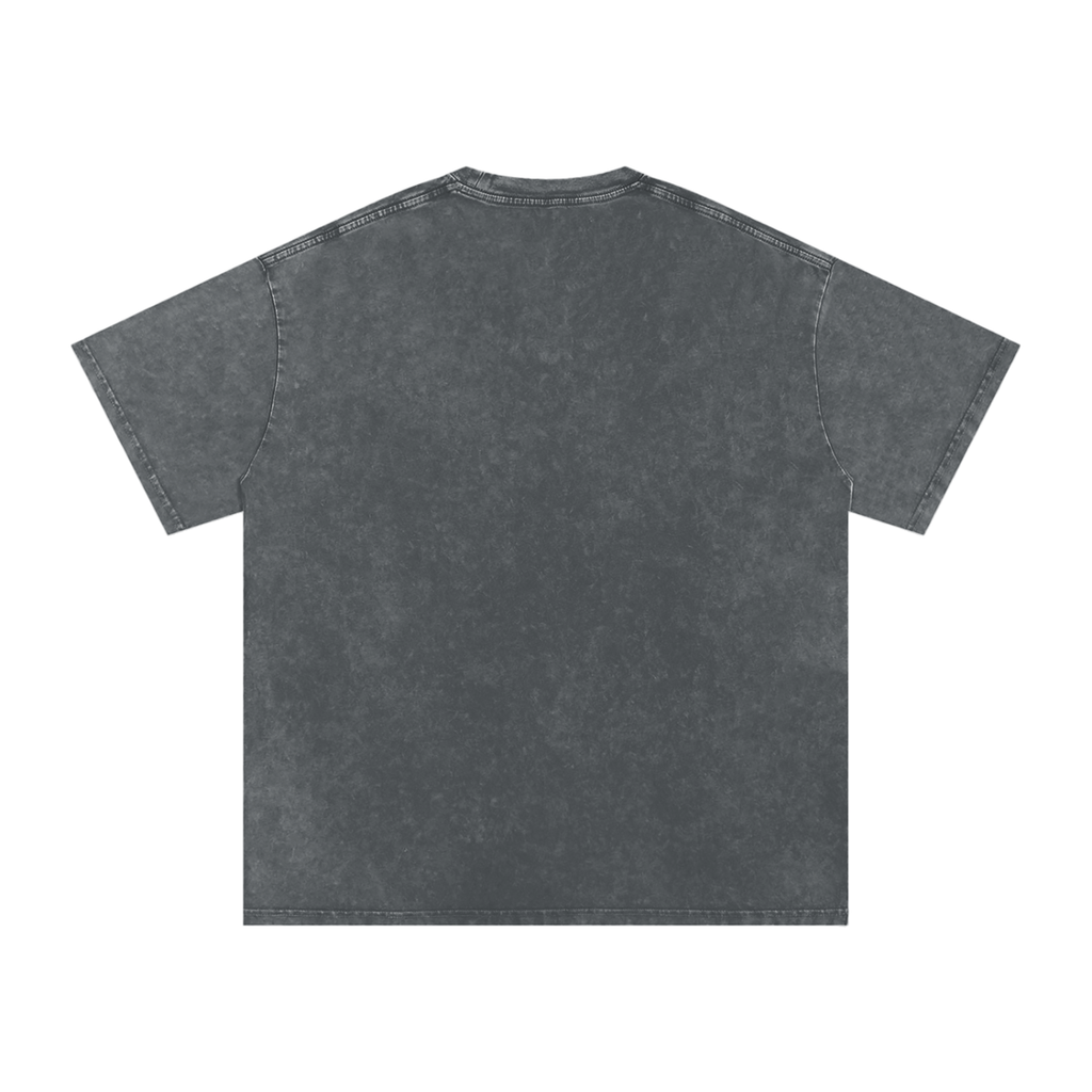 Pirate Gray snow-washed oversized cotton T-shirt, back view